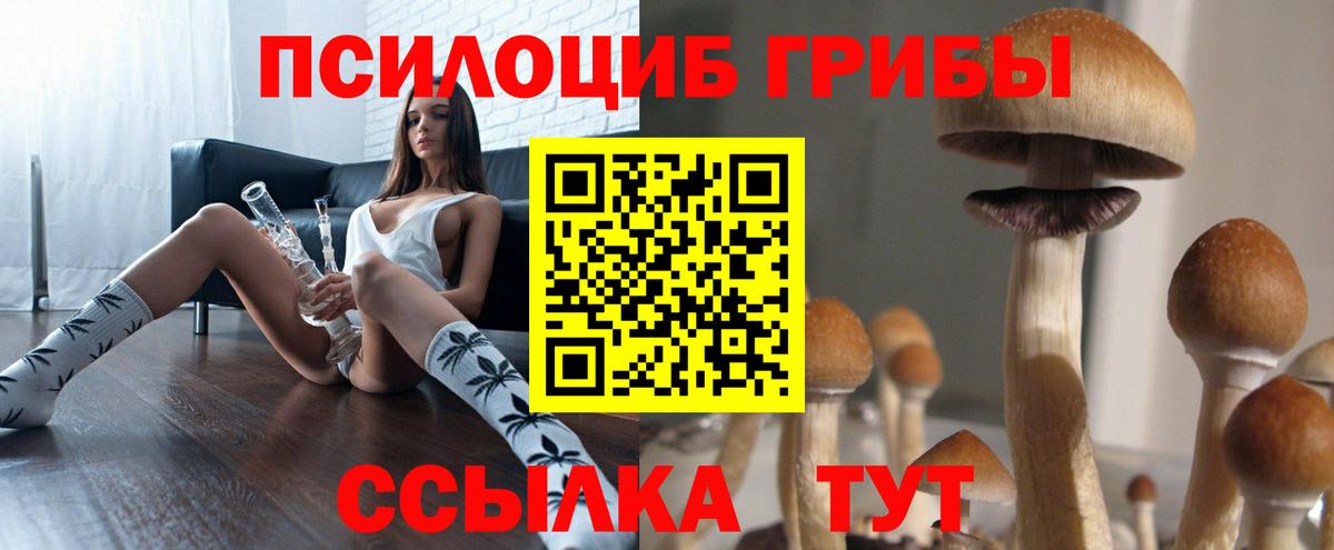 Азнакаево  Псилоцибиновые грибы Cubensis  Вход с VPN 